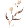 Blumen beige