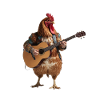 Coq poule guitare