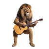 des Dschungels Gitarre