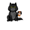Cat not today BLACK