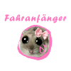 fahranfänger,hamster,fahrschule