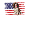 Springer Spaniel