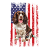 Springer Spaniel