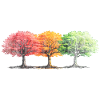 Bäume Baum bunt
