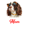 Springer Spaniel