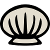 Scallop shell