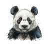 Panda Ours Panda géant japonais