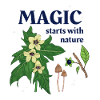 Nature magic on a T-shirt
