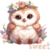 Cute Owl with Flowers