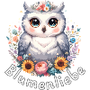 Blumenliebe süße Eule