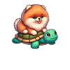 Pomeranian on Turtle Ride
