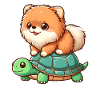 Pomeranian on Turtle Ride