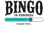 Bingo Player Bingo In Progress