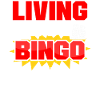 Bingo Player Living That Bingo