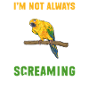 Parakeet Parrot Parakeet Bird