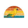 Parakeet Parrot Parakeet Bird