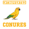 Perruche Perroquet Perruche Oiseau