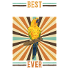 Parakeet Parrot Parakeet Bird