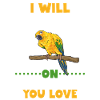 Parakeet Parrot Parakeet Bird