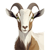 Chèvre