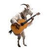 White Goat Guitar