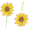 Flower, Sunflower, Symbol, Flowers