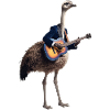 ostrich guitar bird