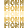 Roots Fionn