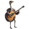 autruche oiseau guitare