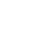 Developer Coder Programmer