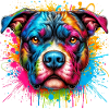 Pitbull Dog