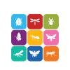 Future Entomologist