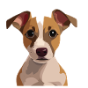 Hund