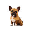 Kleiner Mops