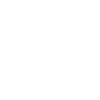 This boy likes dogs