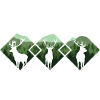 Hunter, Mountaineer, Hiker, Deer