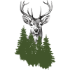 Jäger Bergsteiger Wanderer Hirsch
