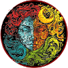 Die vier Elemente