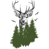 Hunter, Mountaineer, Hiker, Deer