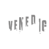 Elegant Venice Skyline Italy
