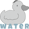 duckling water