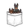 Lancashire Heeler Dog Pocket