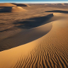 Desert harmony at dusk