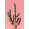 Large Cactus | AI
