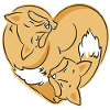 two sleeping foxes