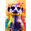 Suricate