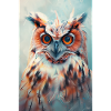 Hibou
