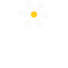 Love Flower