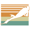 Diver Flag