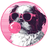 Shi tzu Sunglasses Pink Bubblegum